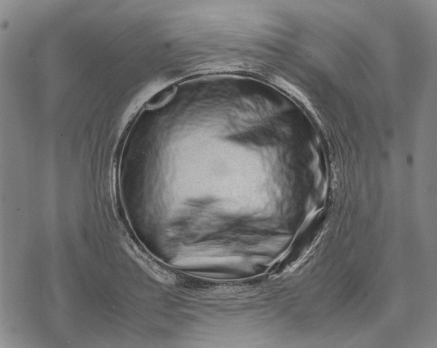 X0000070391179200606231730