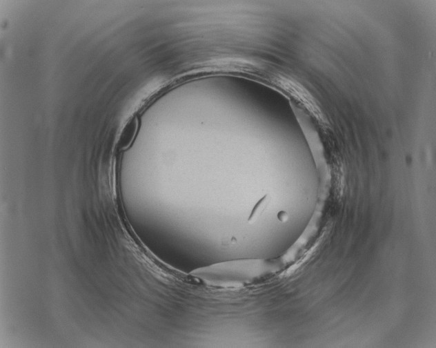 X0000070391180200606231730