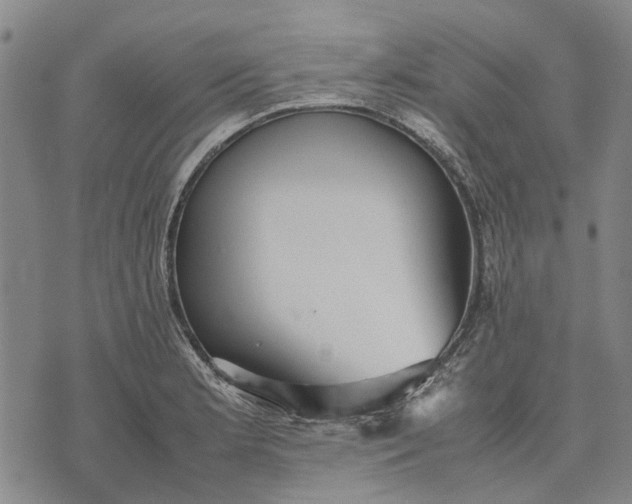 X0000070391181200606231730