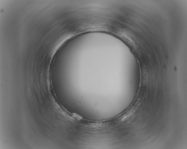 X0000070391182200606231730