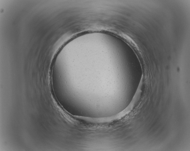 X0000070391183200606231730