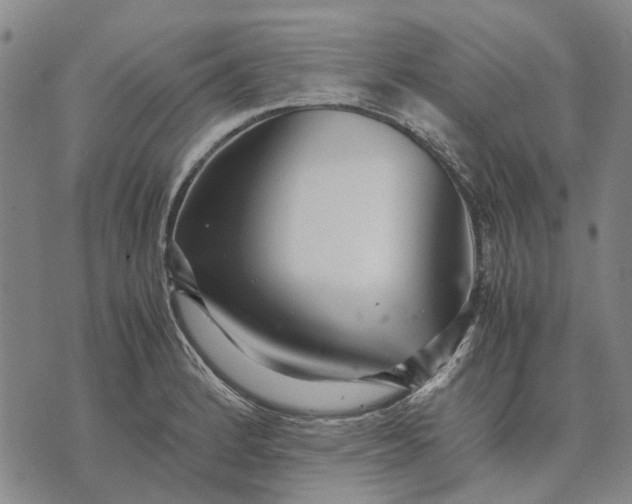 X0000070391184200606231730