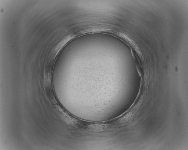 X0000070391185200606231730