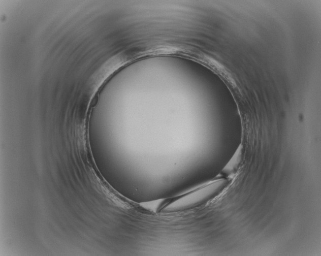 X0000070391186200606231730