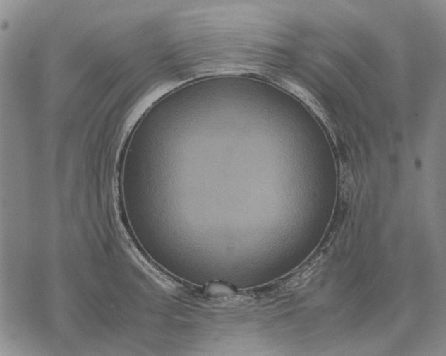 X0000070391187200606231730