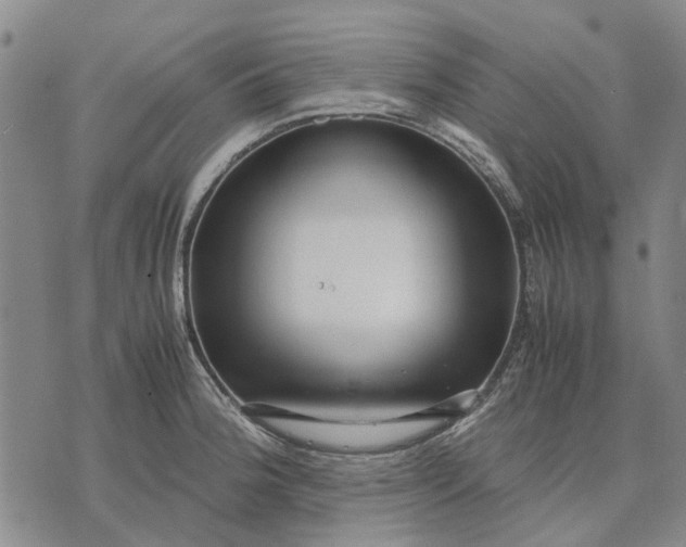 X0000070391188200606231730