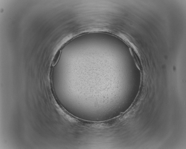 X0000070391189200606231730