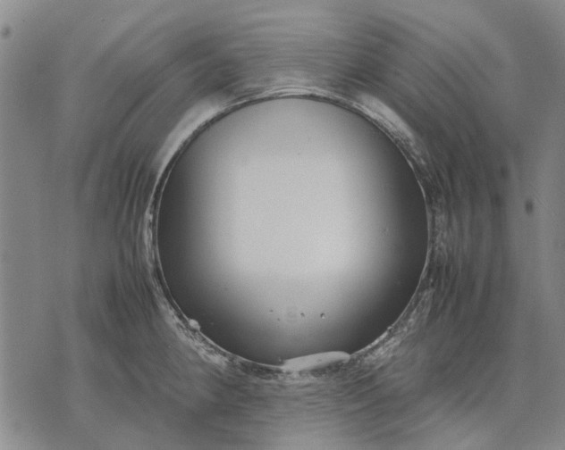 X0000070391190200606231730