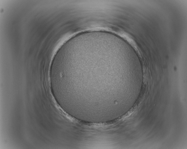 X0000070391191200606231730