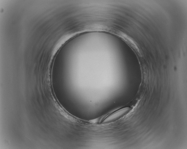 X0000070391192200606231730