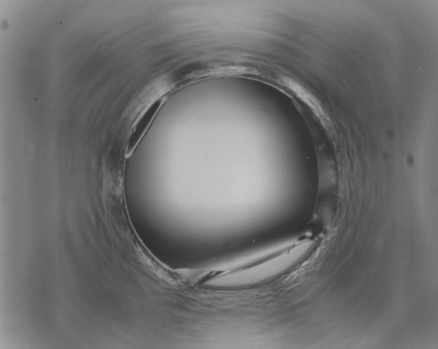 X0000070391193200606231730