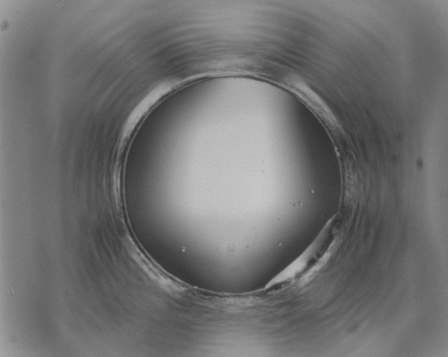 X0000070391196200606231730