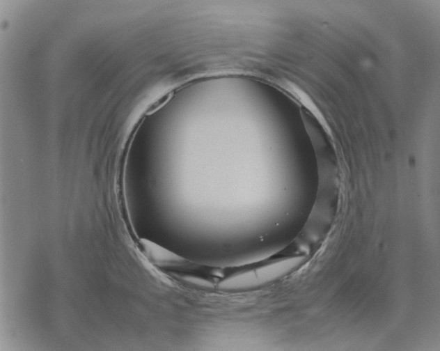 X0000070391197200606231729