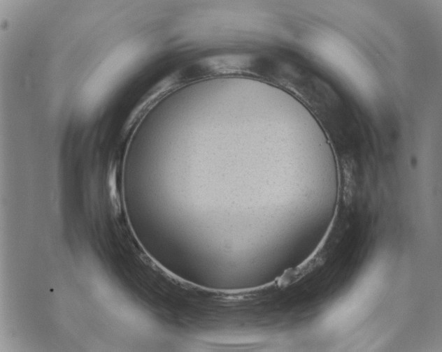 X0000070391198200606231729