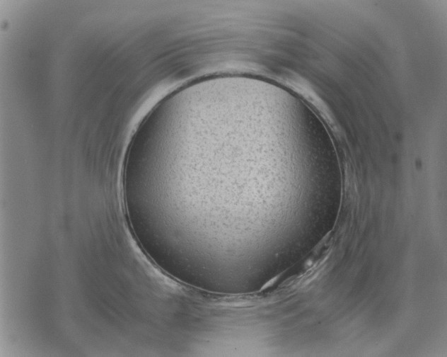 X0000070391199200606231729