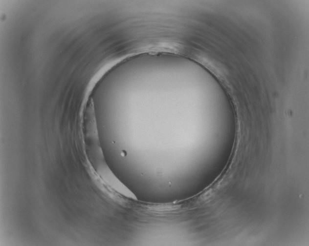 X0000070391200200606231729