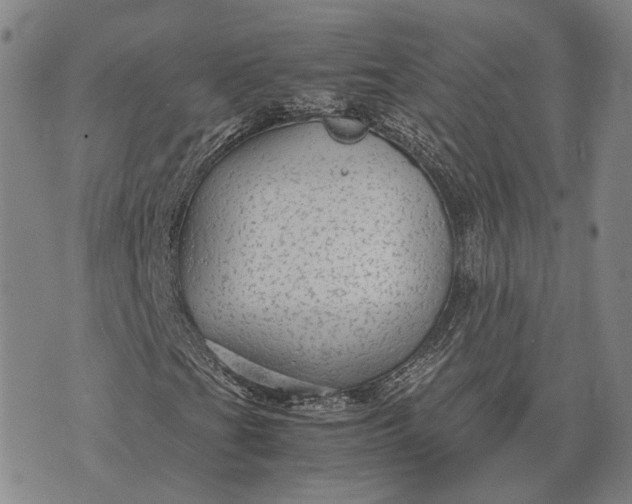 X0000070391201200606231729