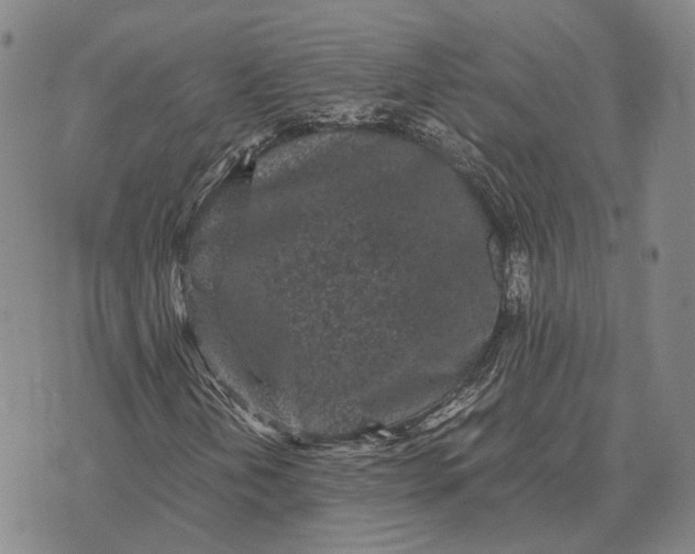 X0000070391202200606231729