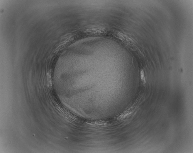 X0000070391203200606231729