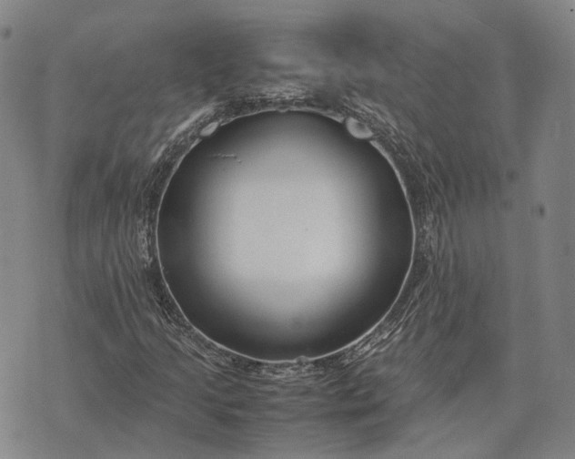 X0000070391205200606231729