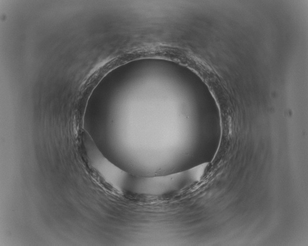 X0000070391206200606231729