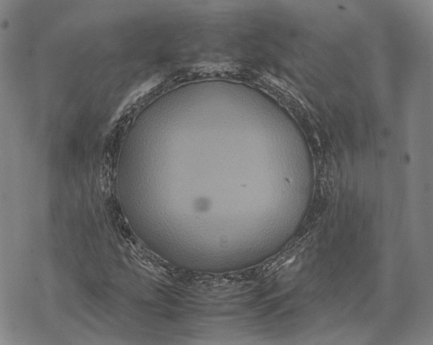 X0000070391207200606231729