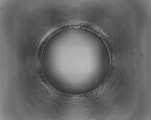 X0000070391208200606231729