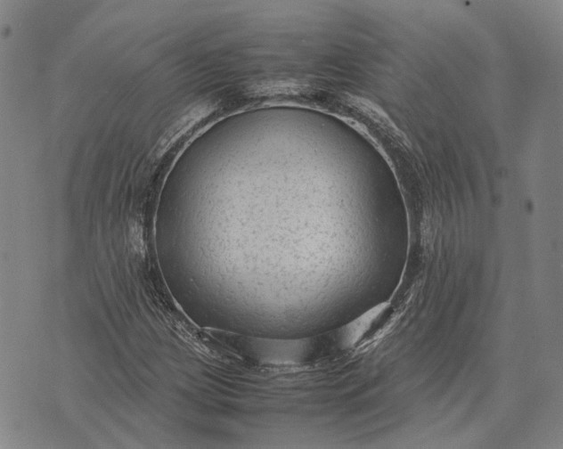 X0000070391209200606231729