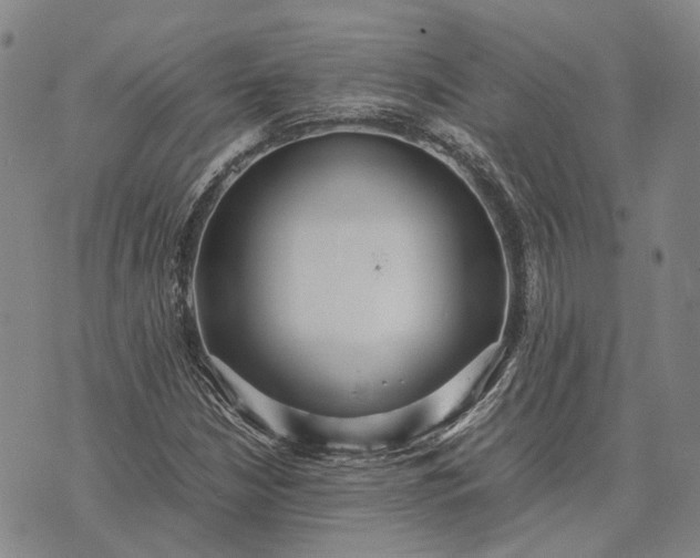 X0000070391210200606231729