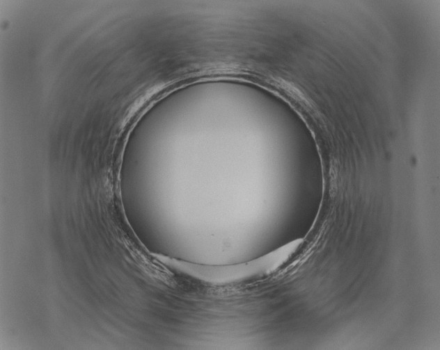 X0000070391212200606231729