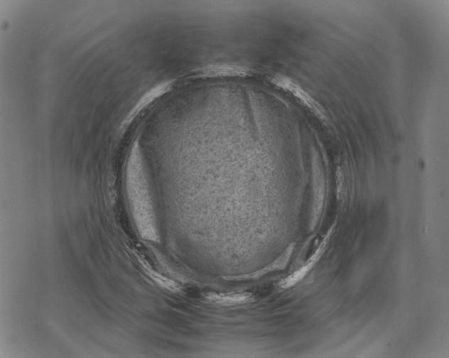 X0000070391213200606231729