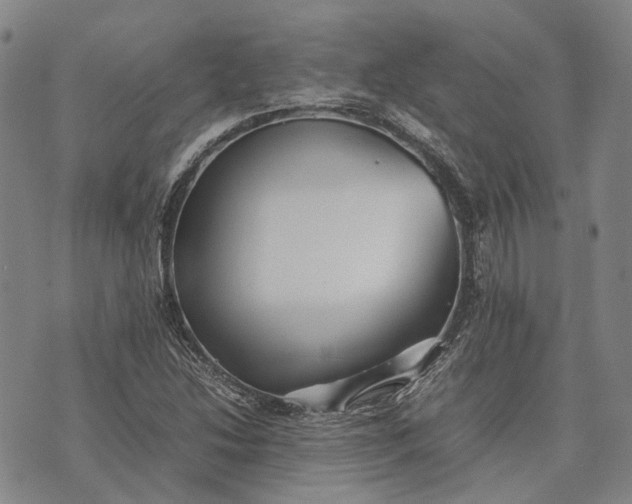 X0000070391214200606231729