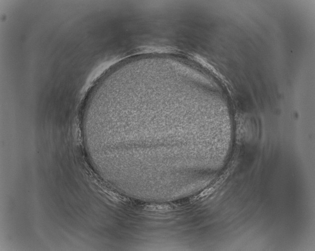 X0000070391215200606231729