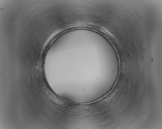 X0000070391216200606231729