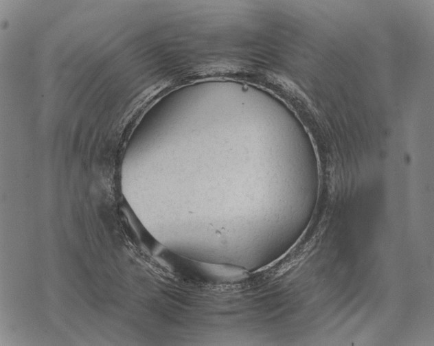 X0000070391217200606231729