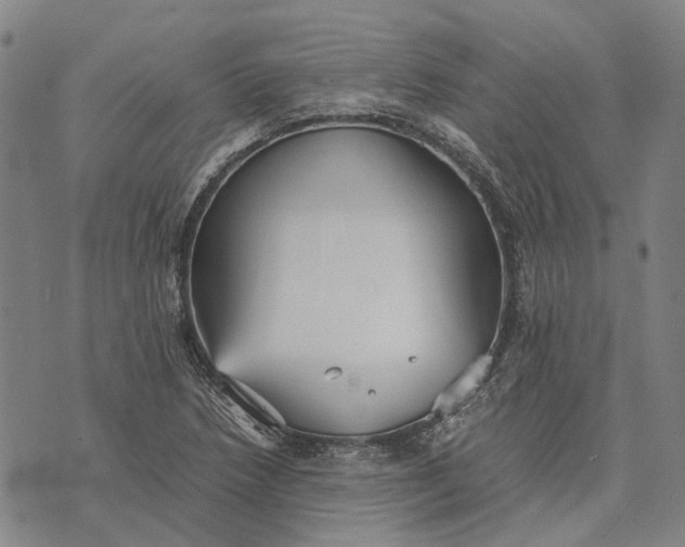 X0000070391218200606231729