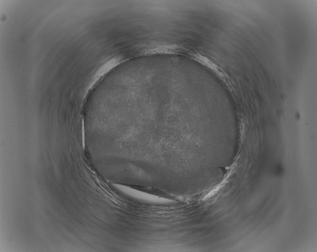 X0000070391219200606231729