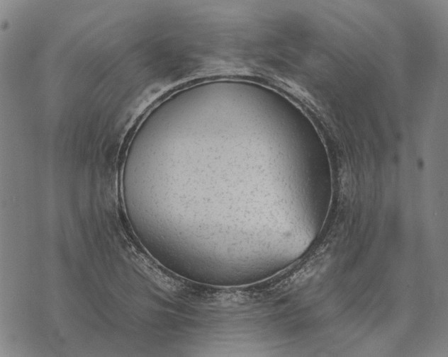 X0000070391220200606231729