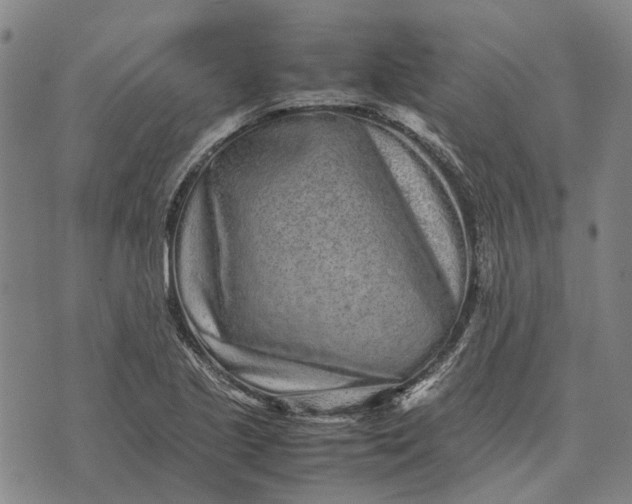 X0000070391221200606231729