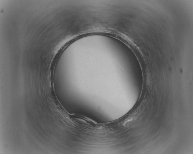 X0000070391222200606231729