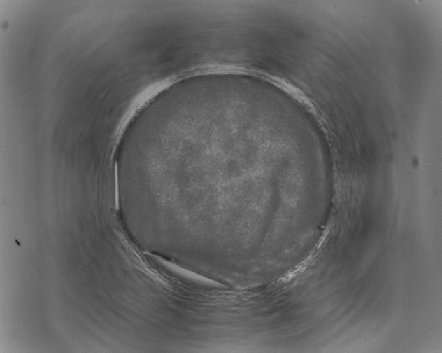 X0000070391223200606231729