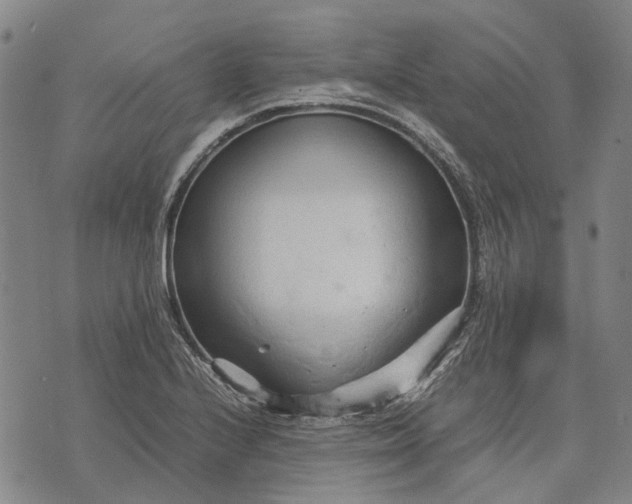 X0000070391224200606231729