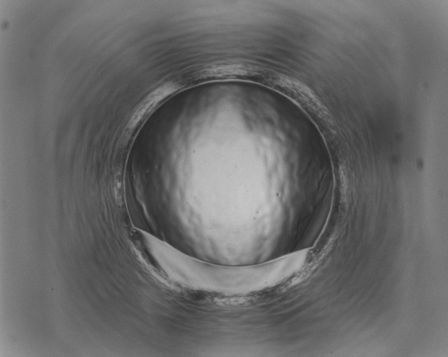 X0000070391225200606231729