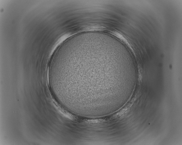 X0000070391227200606231729