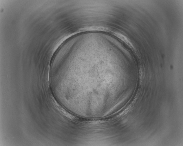 X0000070391228200606231729