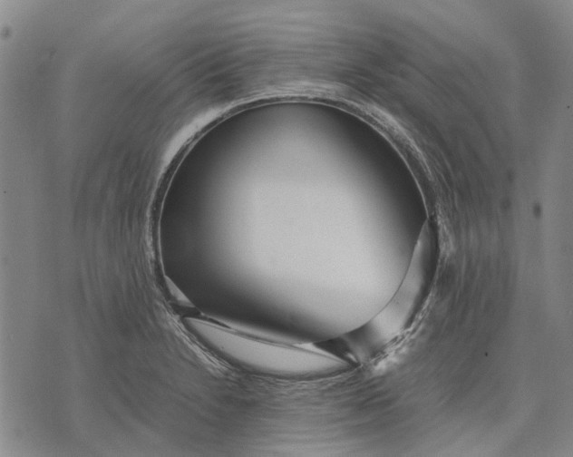 X0000070391230200606231729