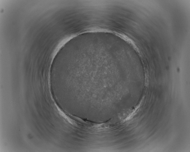 X0000070391231200606231729