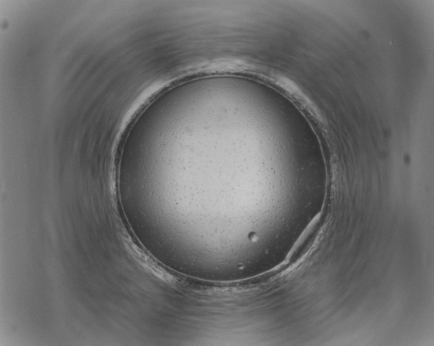 X0000070391232200606231729