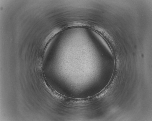 X0000070391233200606231729