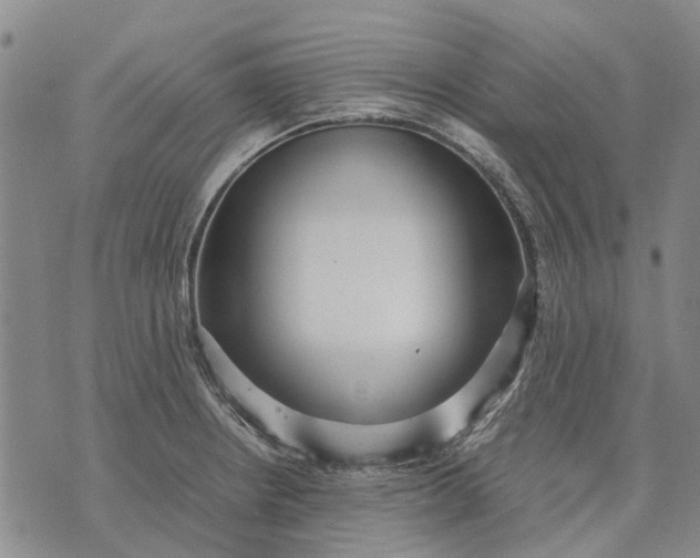 X0000070391234200606231729